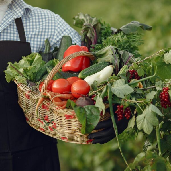 Campagna Google Ads giardiniere