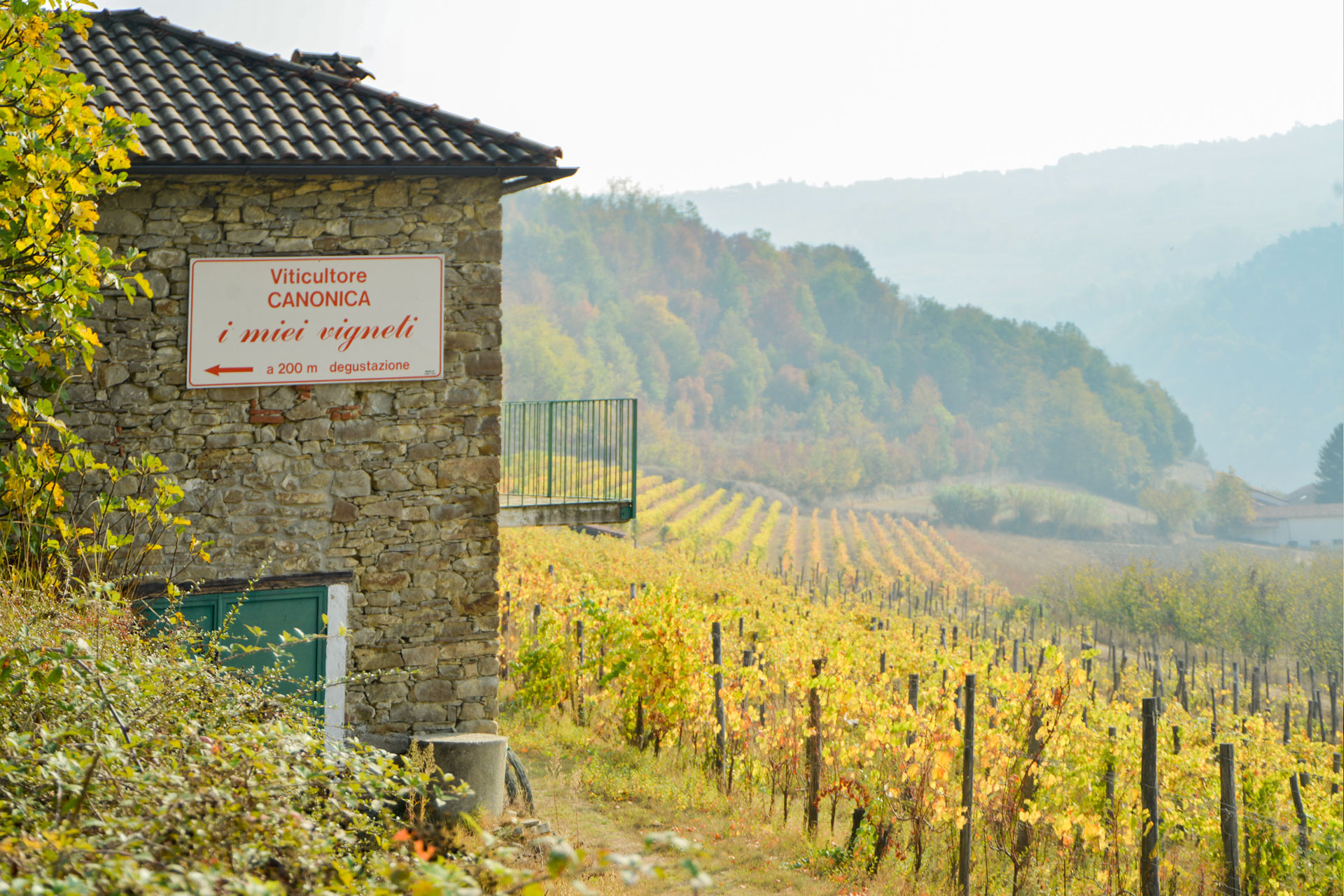 Cantine