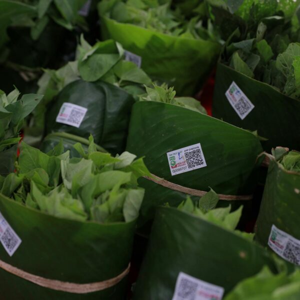 Etichette e packaging prodotti agricoli