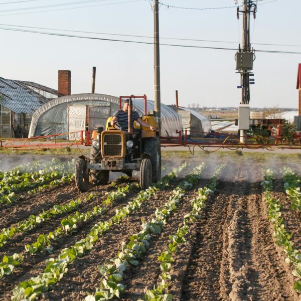 Materiale per fiere agroalimentari