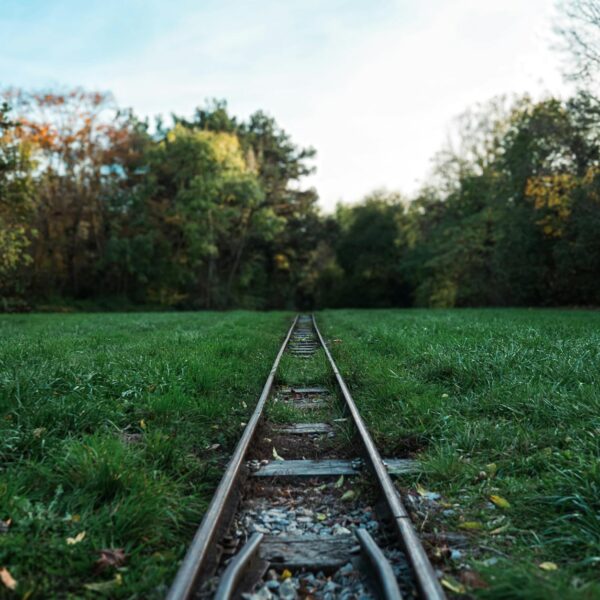 Portale tracking spedizioni