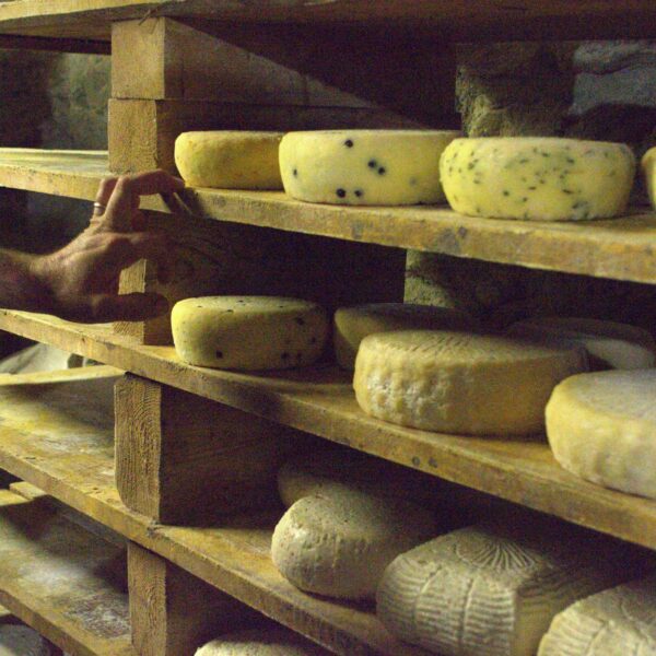 SEO per produttori alimentari