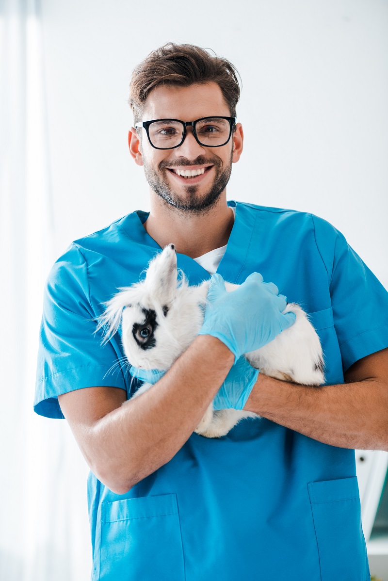 Veterinari